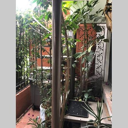 Amplia Habitacion Tipo Ejecutiva Con Bano Y Acceso Privados Толука Екстер'єр фото