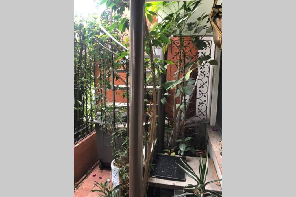 Amplia Habitacion Tipo Ejecutiva Con Bano Y Acceso Privados Толука Екстер'єр фото