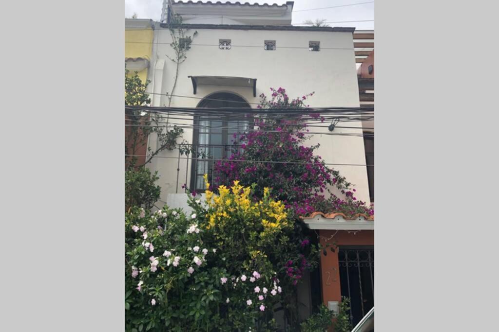 Amplia Habitacion Tipo Ejecutiva Con Bano Y Acceso Privados Толука Екстер'єр фото
