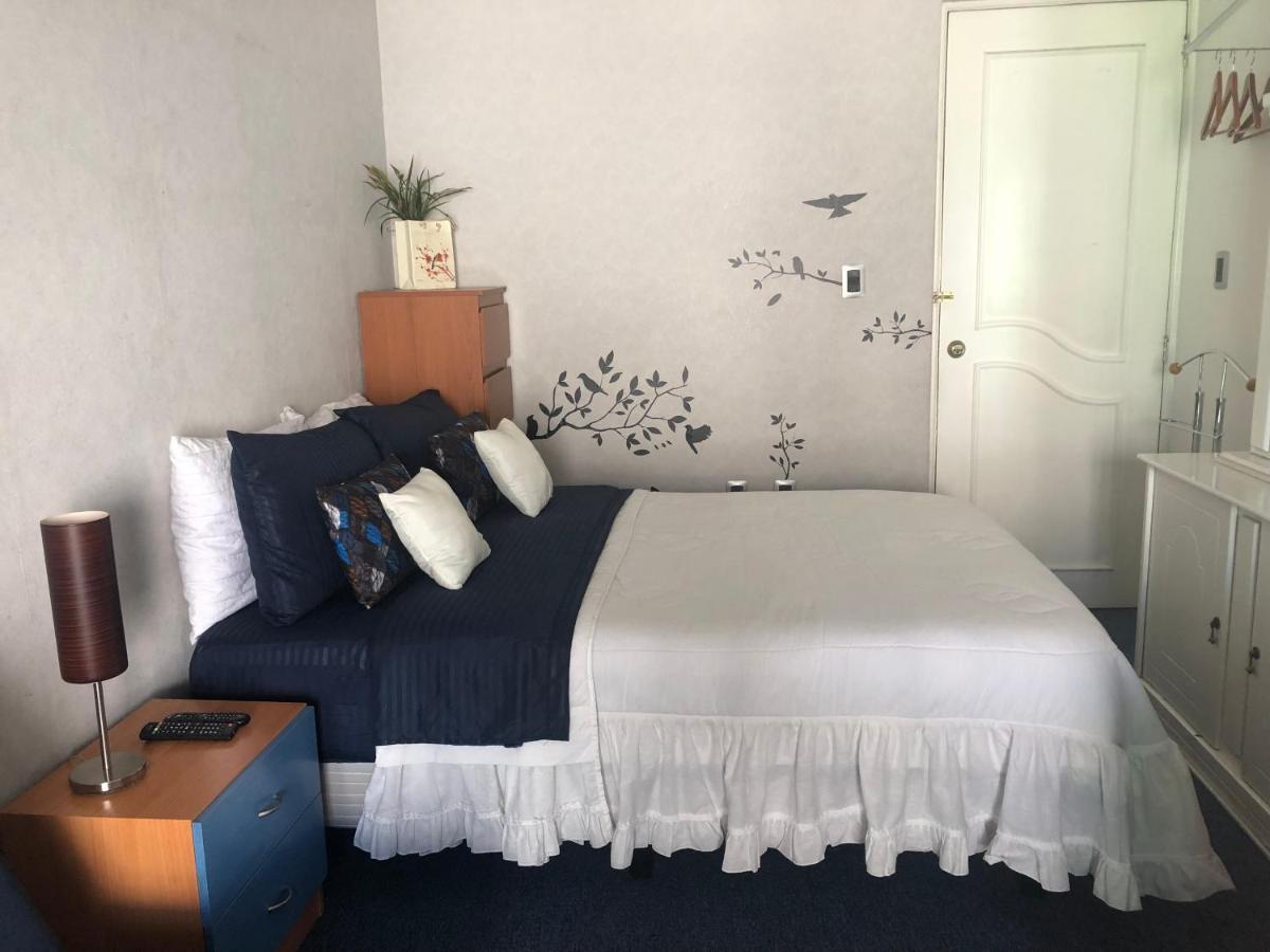 Amplia Habitacion Tipo Ejecutiva Con Bano Y Acceso Privados Толука Екстер'єр фото